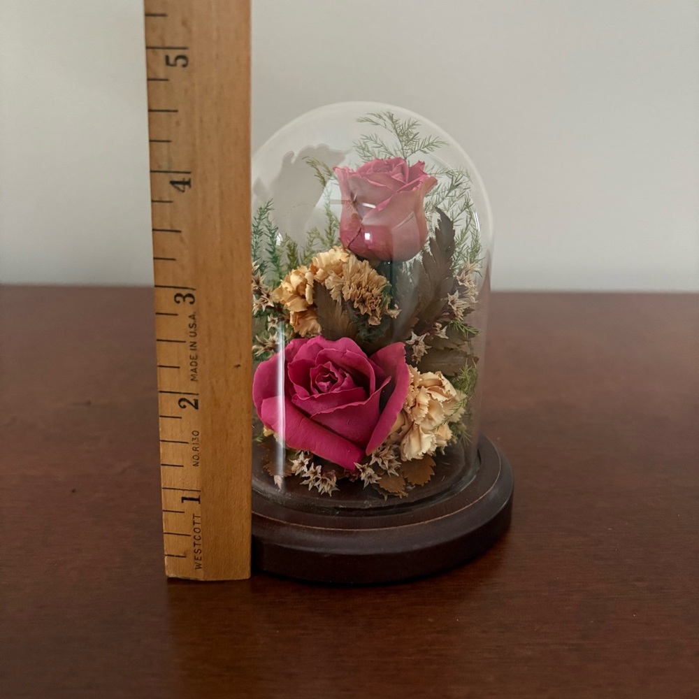 Vintage Natural Expressions Freeze Dried Preserved Roses Glass Dome & Wood Base - Picture 6 of 9